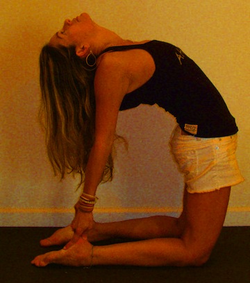 WHB's Favorite Yogi