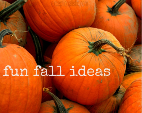 Fun Things To Do in the Fall!