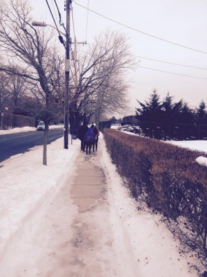 Scott Sinnickson and a group of seven friends walk two by two, on an iced-over sidewalk, towards Westhampton Beach High School.
