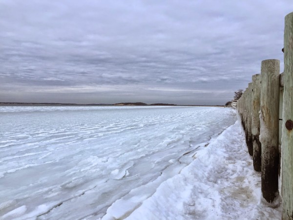 Winter Fun in WHB