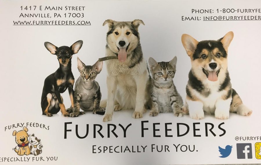 Meet the "Furry Feeder" crew