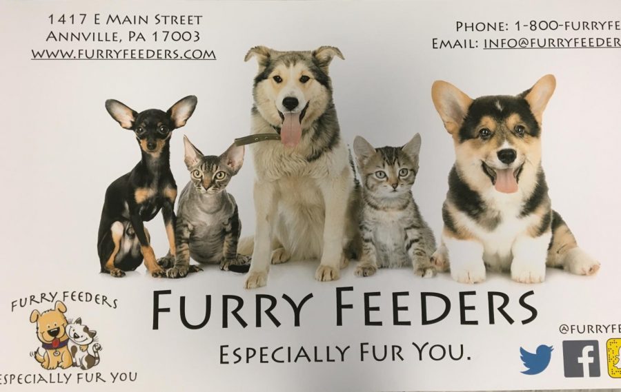 Meet the Furry Feeder crew