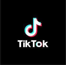 TikTok Trends to Try While Stuck at Home