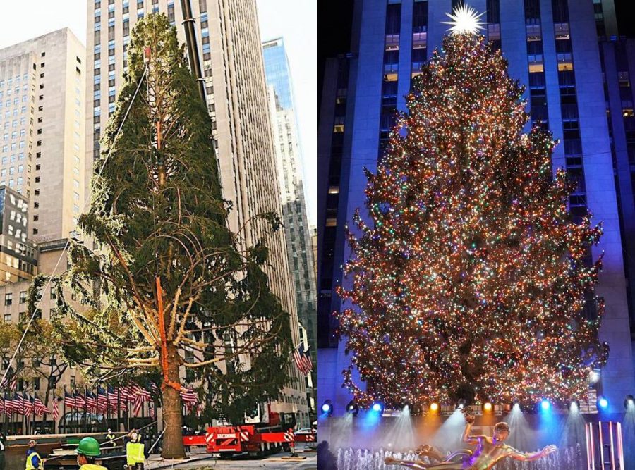 A before and after the 2020 Rockefeller Tree.