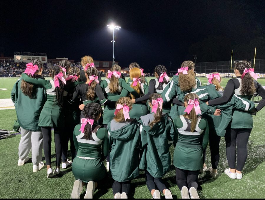 Selling Pink Bows to Raise Awareness