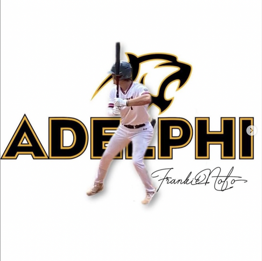 Newest Adelphi Baseball Player