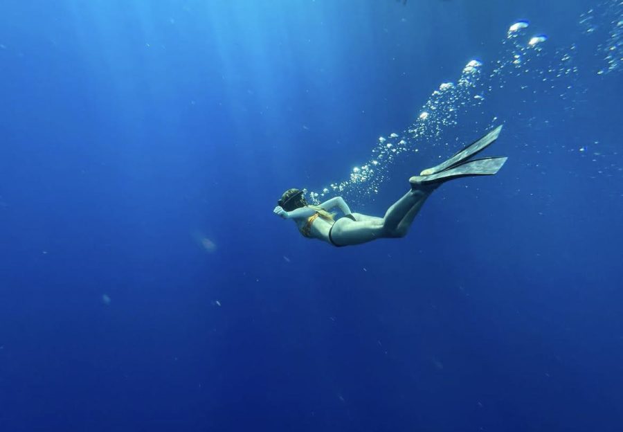 Emma on a shark dive in Hawaii 