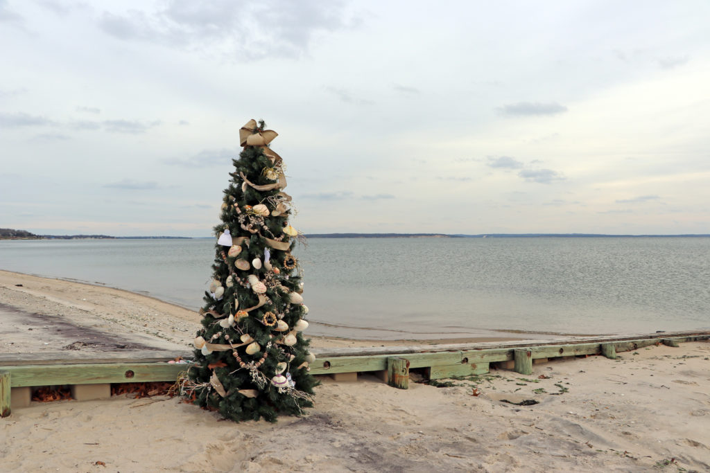 HUGS tree at Webby Beach